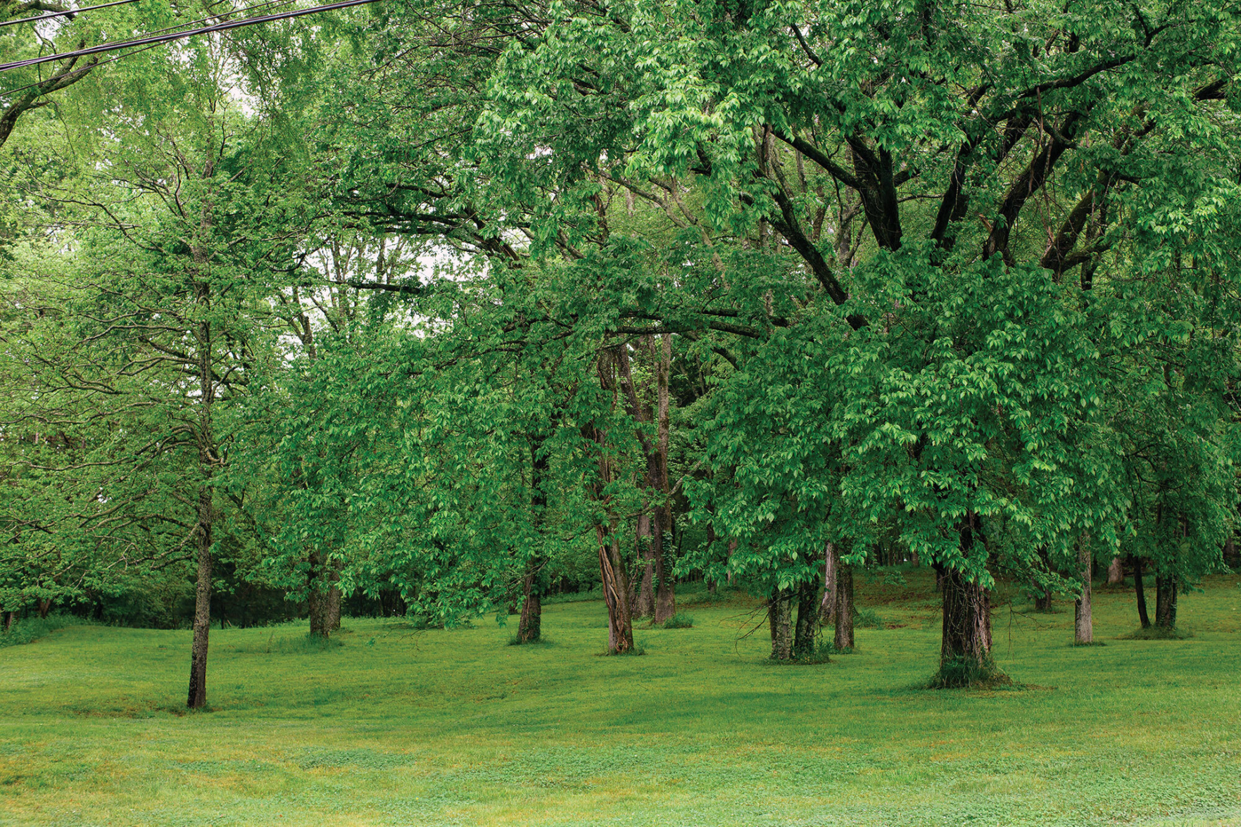 Chance to Preserve Portion of Bells Bend as Public Land Likely Lost Forever